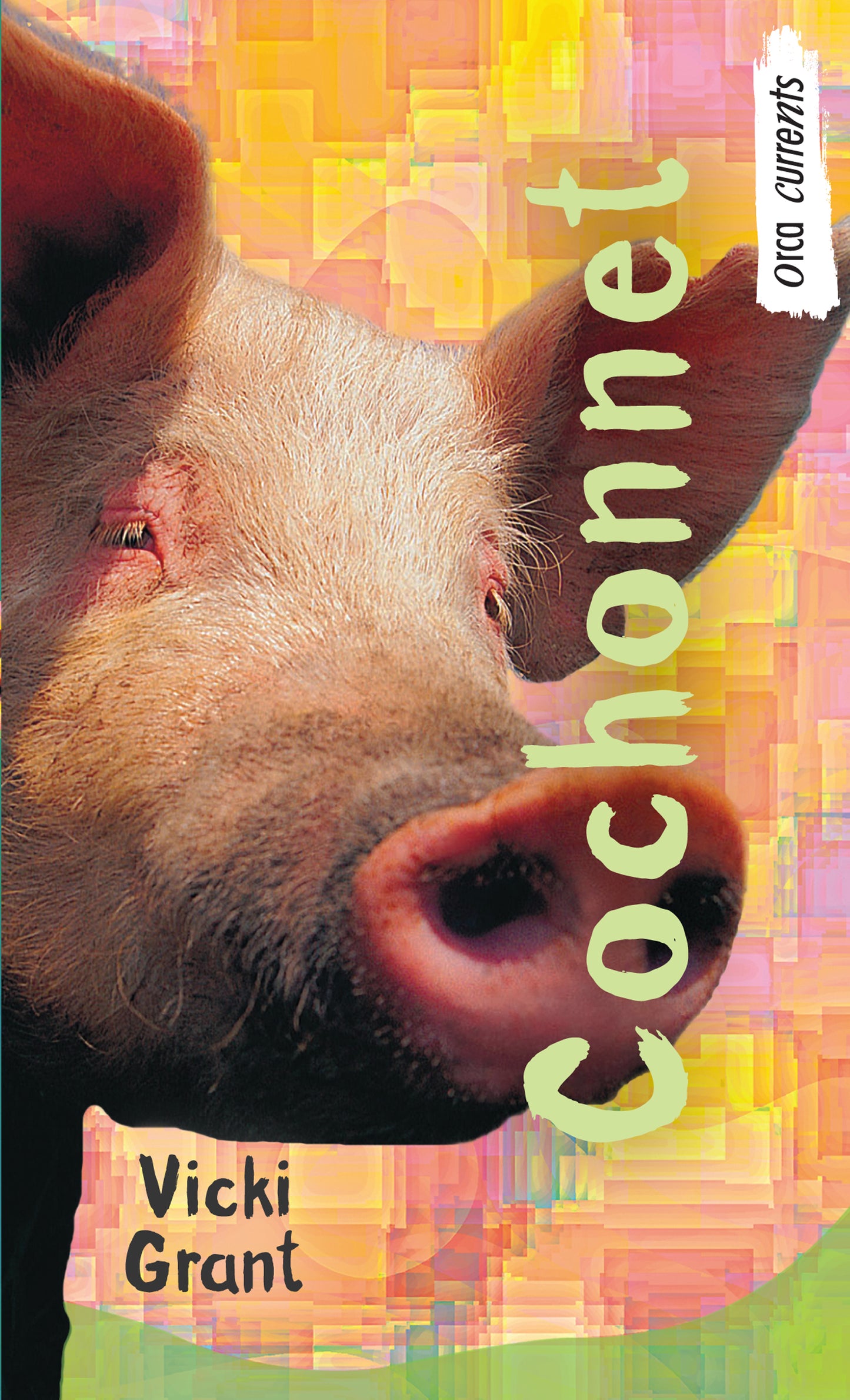 Cover Image