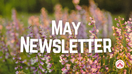 May newsletter graphic includes an image of flowers in bloom