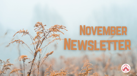 Digital graphic. Next reads "November Newsletter."