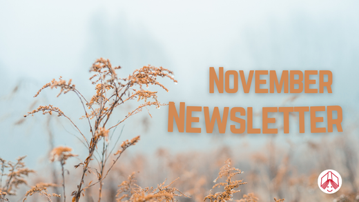 Digital graphic. Next reads "November Newsletter."