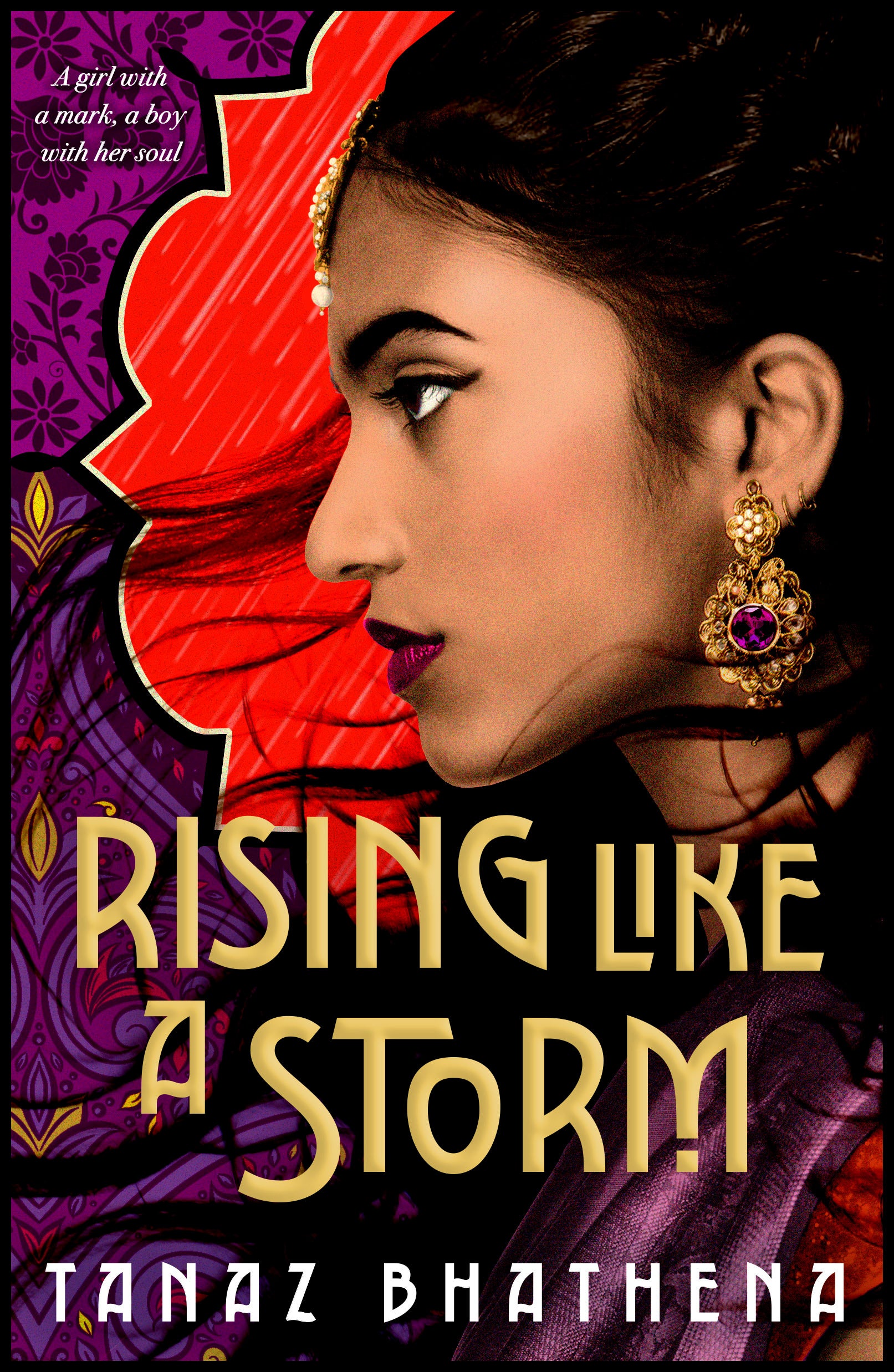 Rising Like a Storm Cover Image