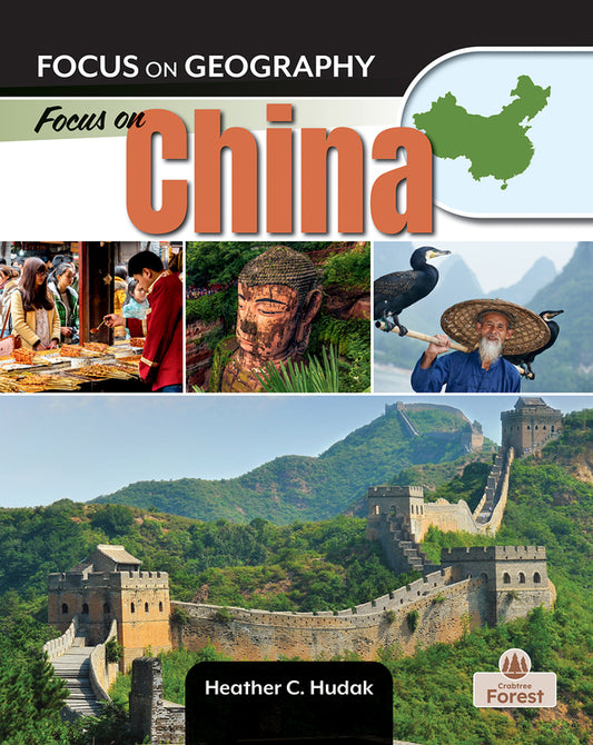 Focus on China Cover Image