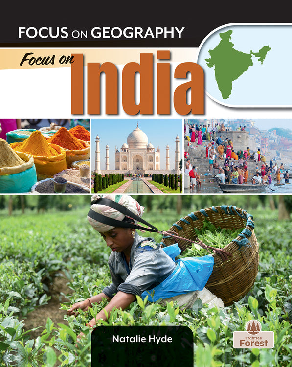 Focus on India Cover Image