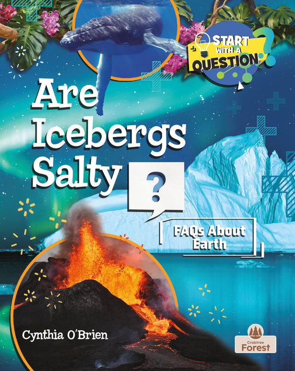 Are Icebergs Salty? Cover Image