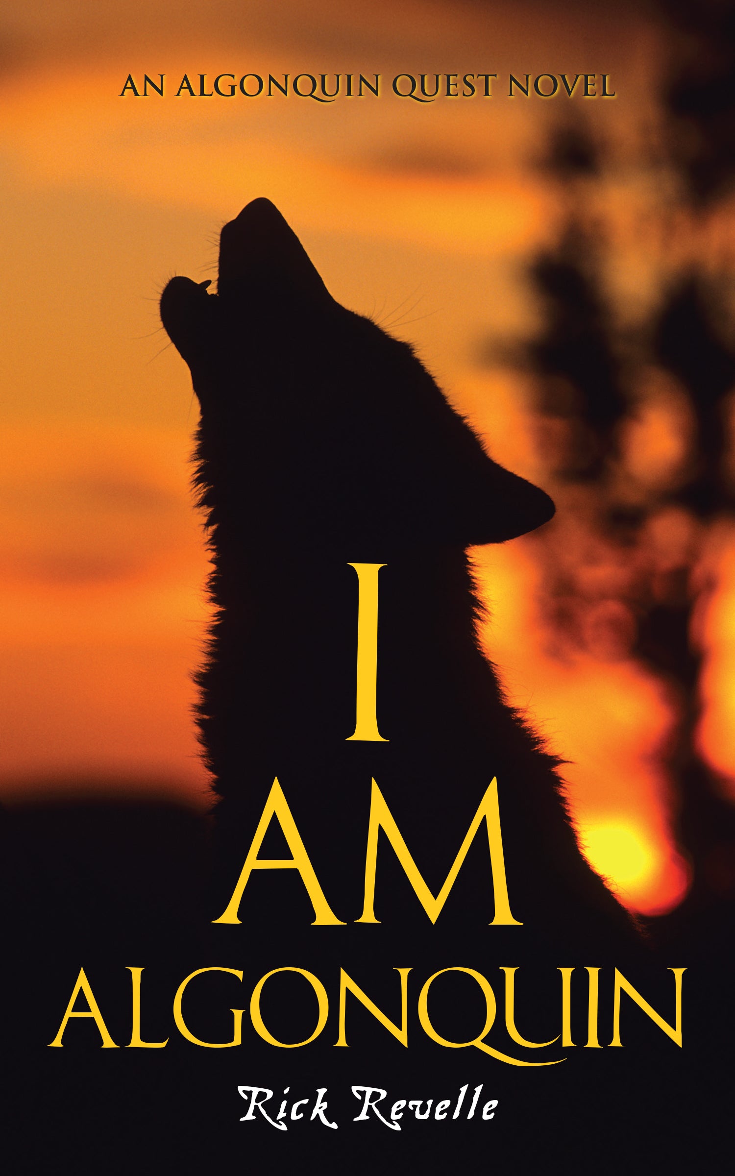 I Am Algonquin Cover Image