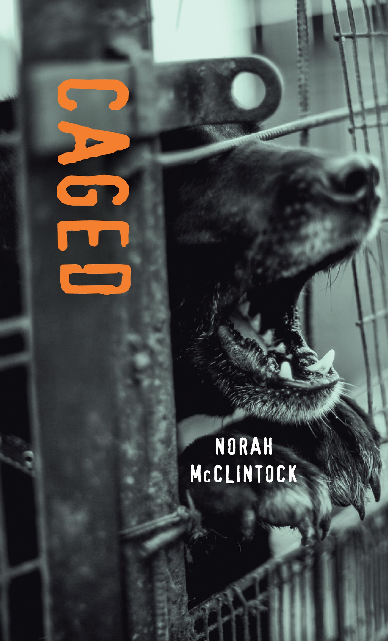 Caged Cover Image