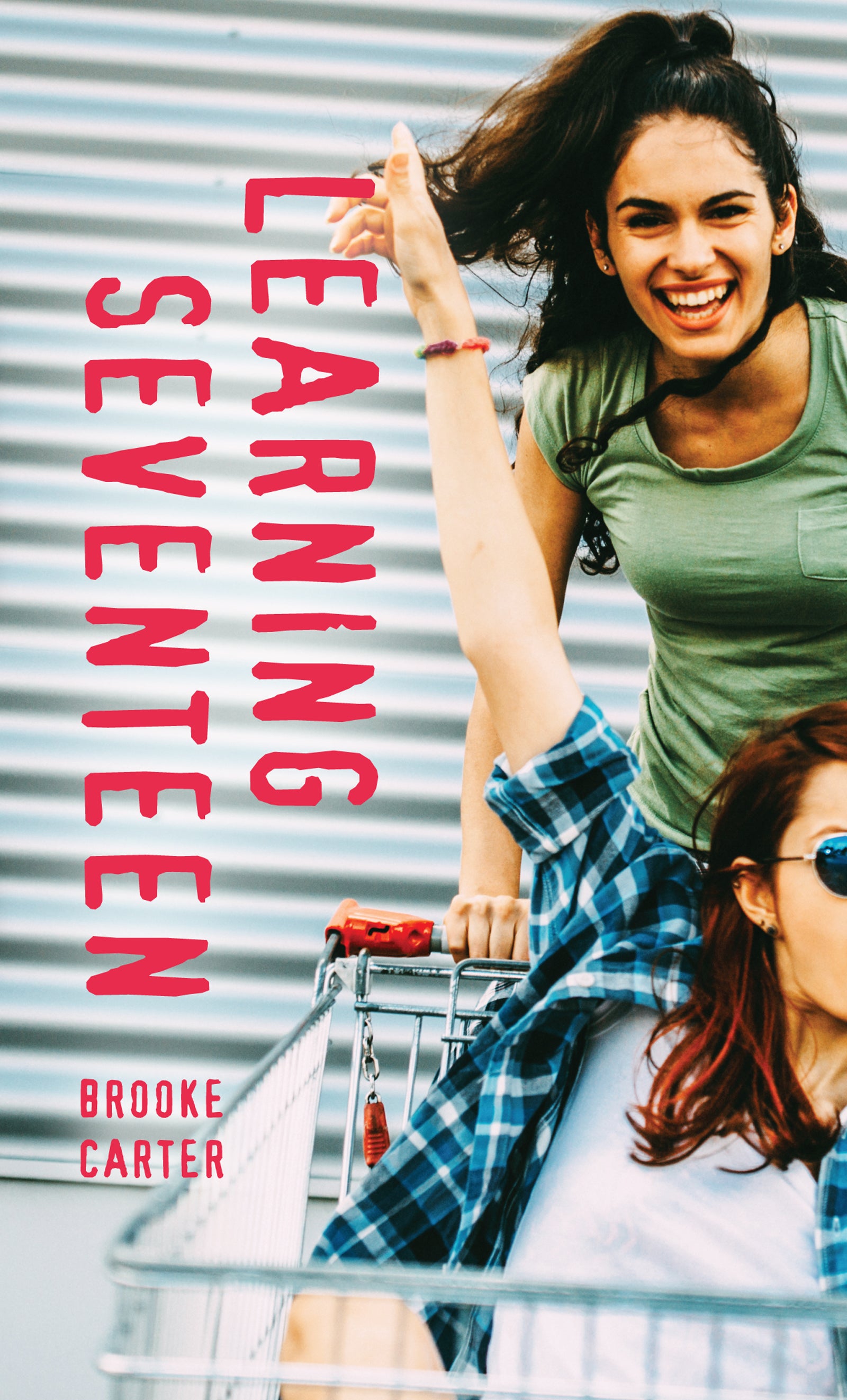 Learning Seventeen Cover Image