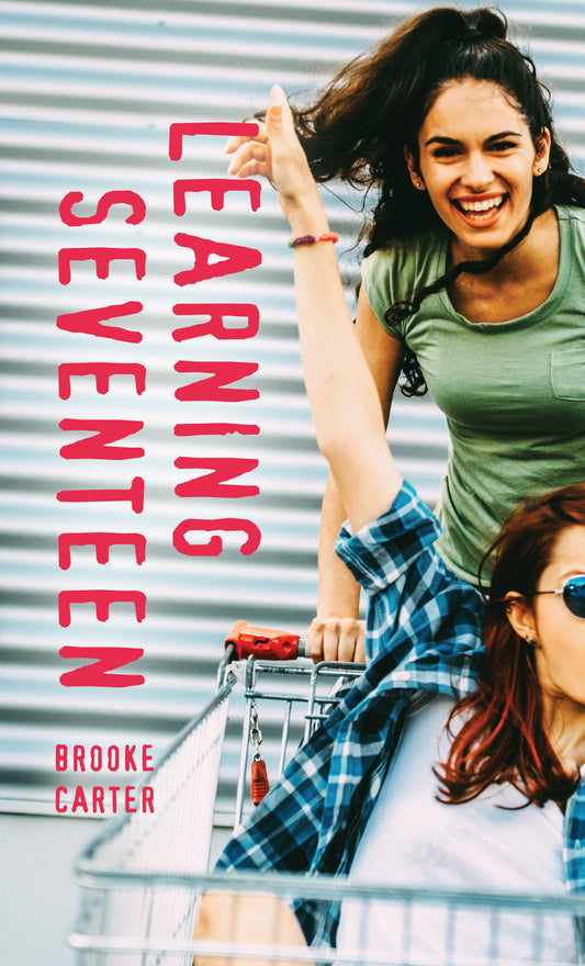Learning Seventeen Cover Image