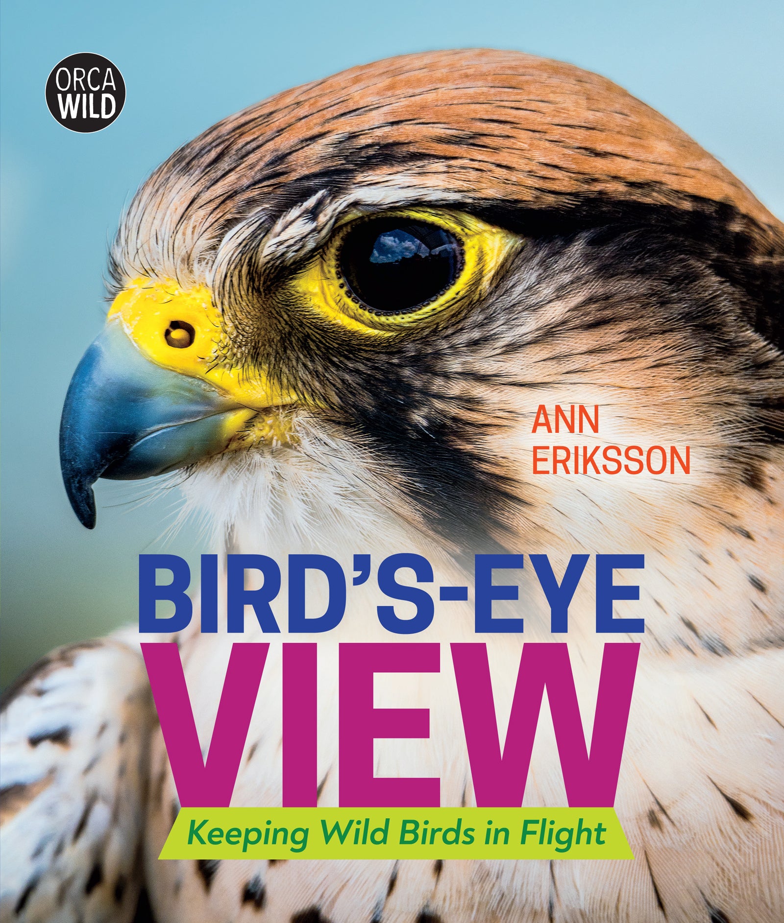 Bird's-Eye View Cover Image