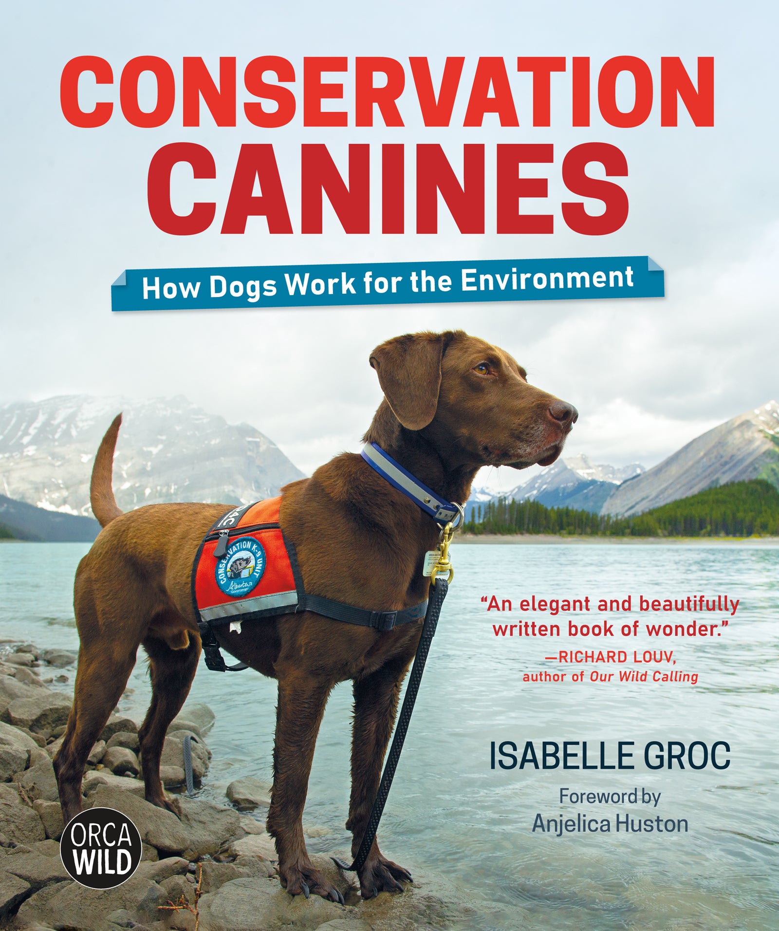 Conservation Canines Cover Image