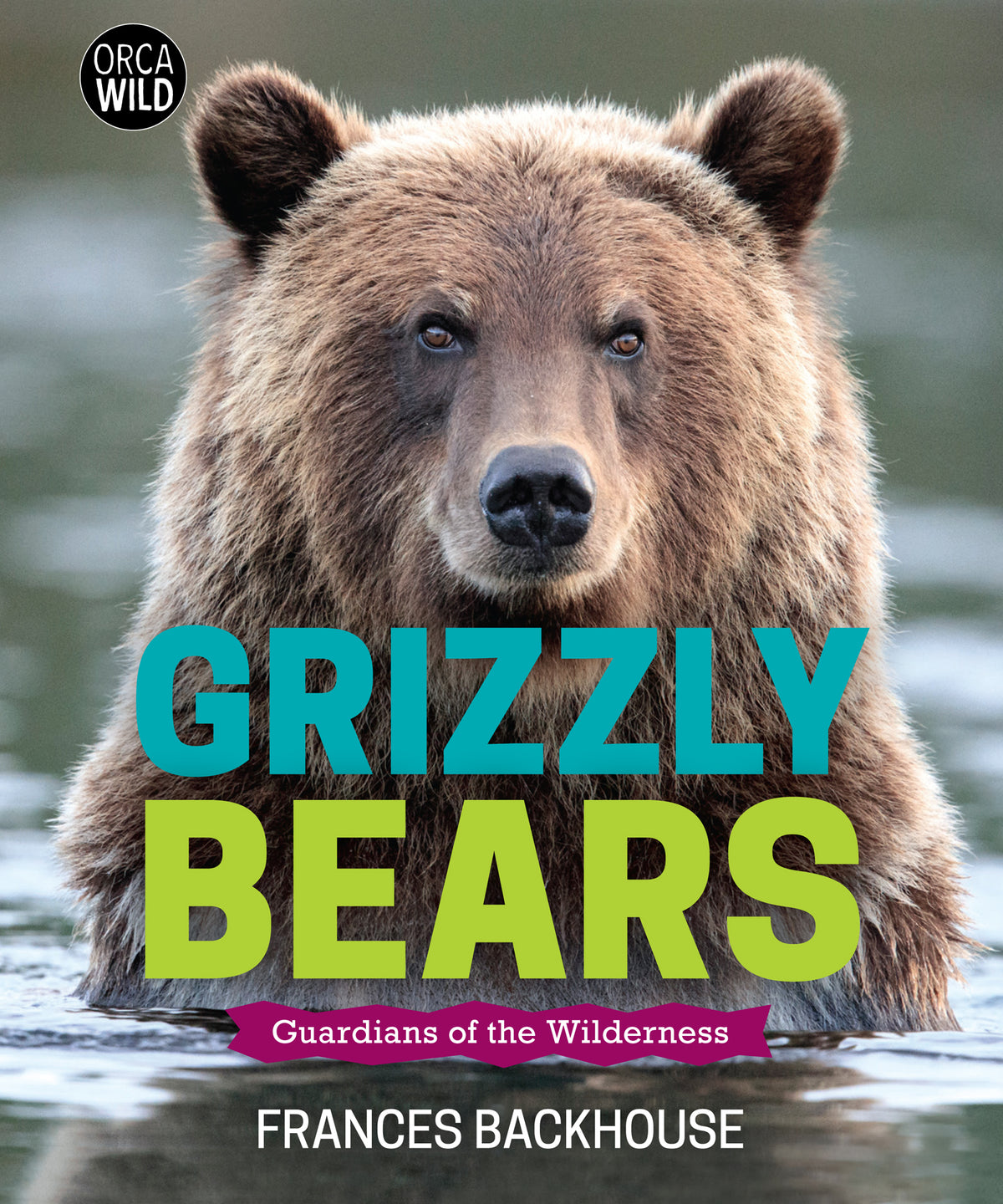 Grizzly Bears Cover Image