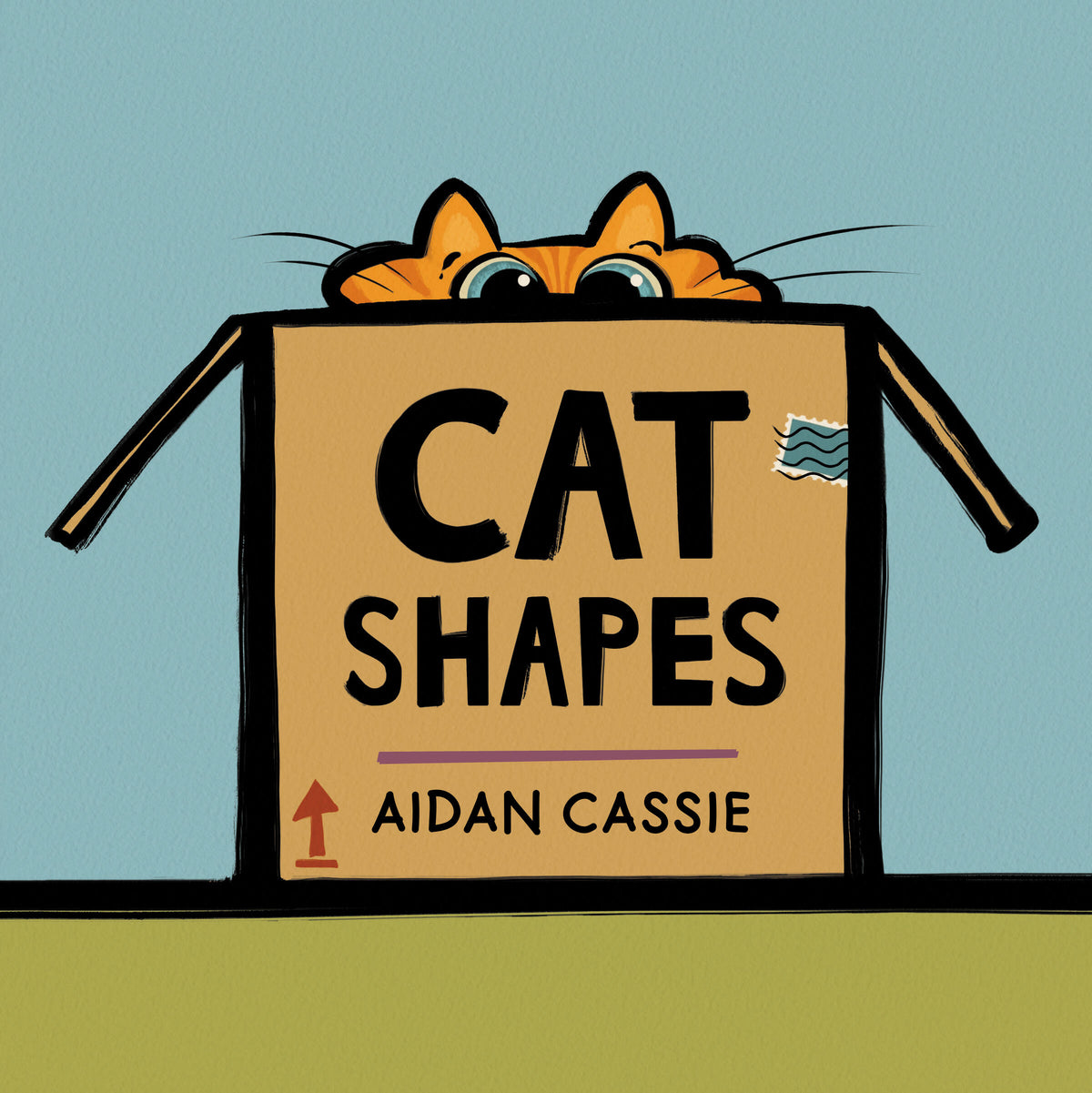 Cat Shapes Cover Image