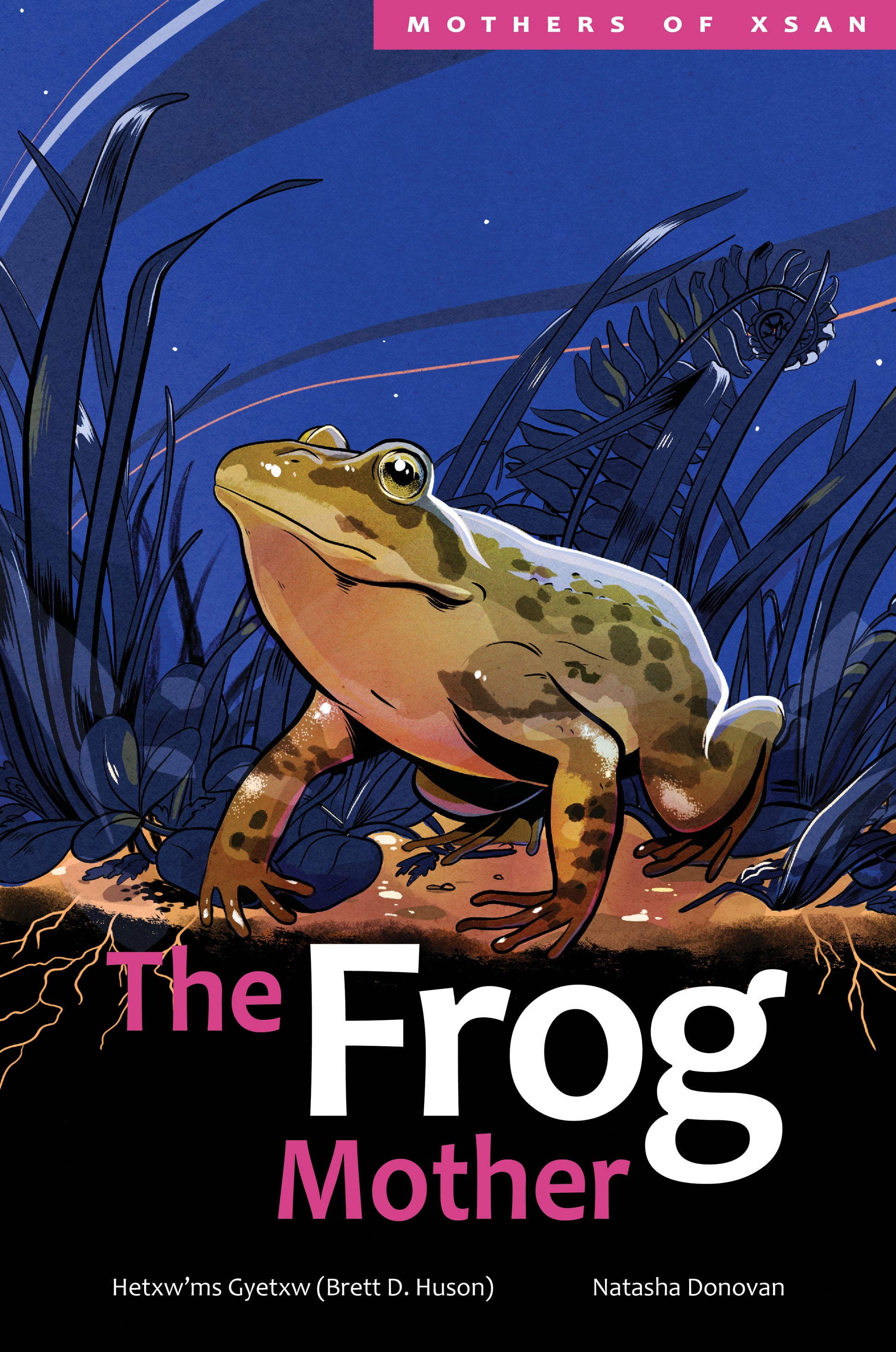 The Frog Mother Cover Image