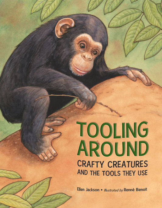 Tooling Around Cover Image