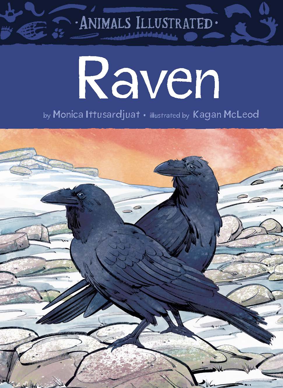 Animals Illustrated: Raven Cover Image