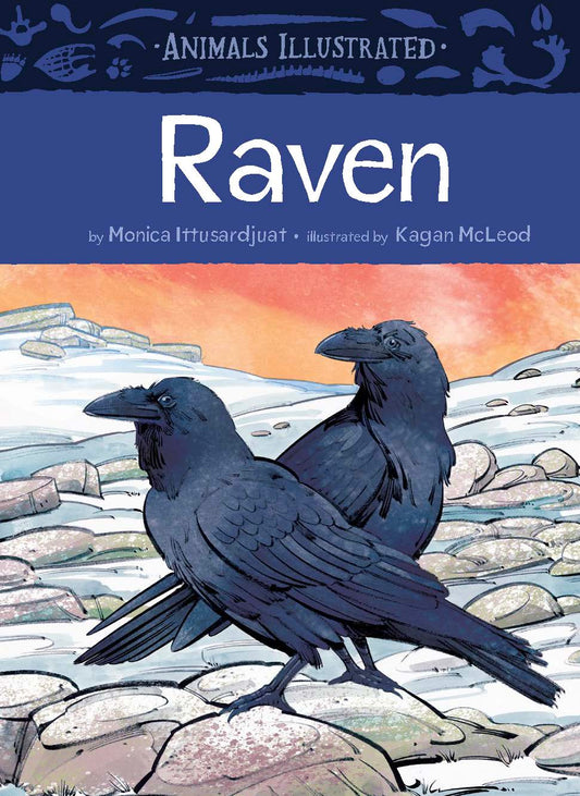 Animals Illustrated: Raven Cover Image