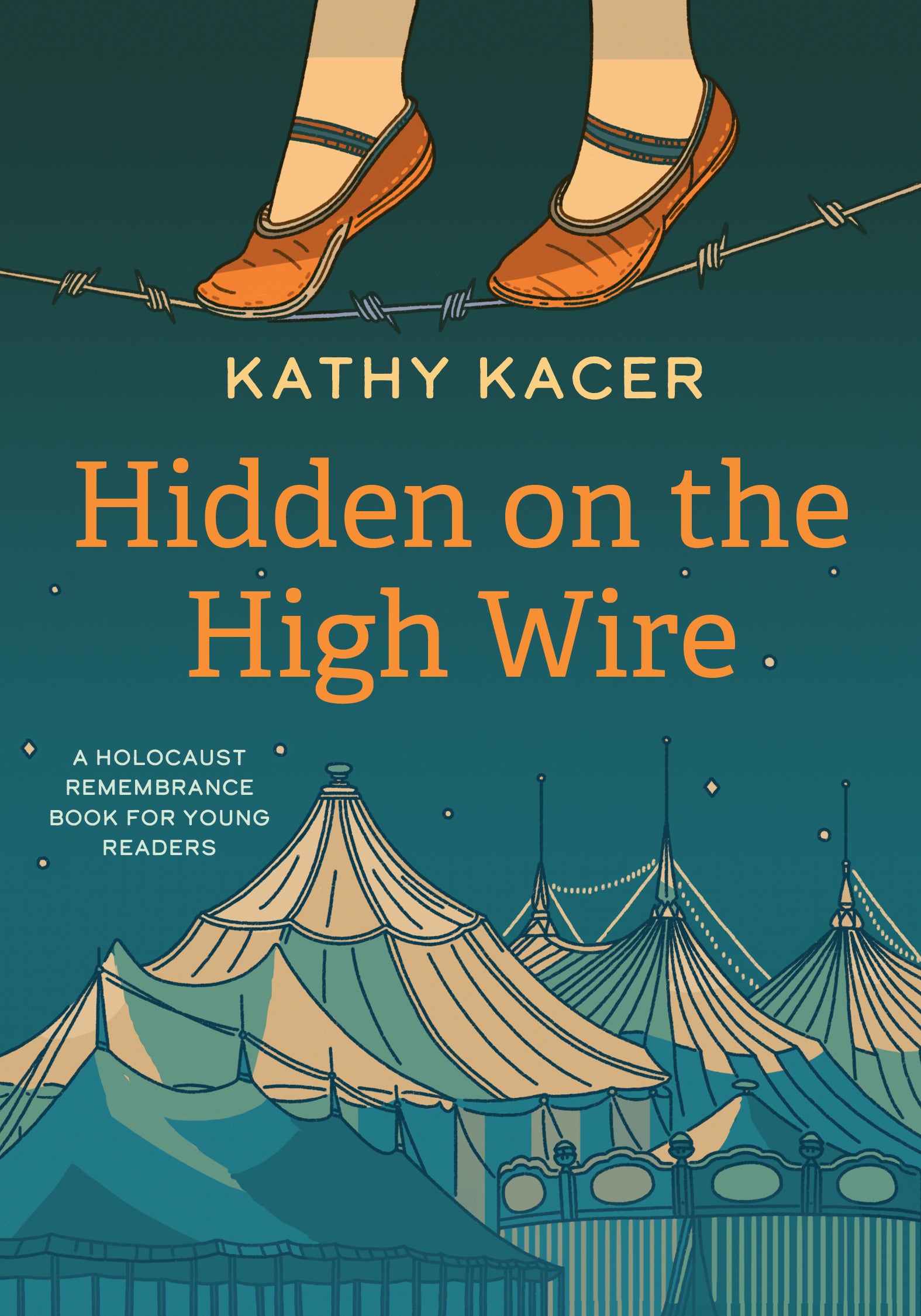 Hidden on the High Wire Cover Image