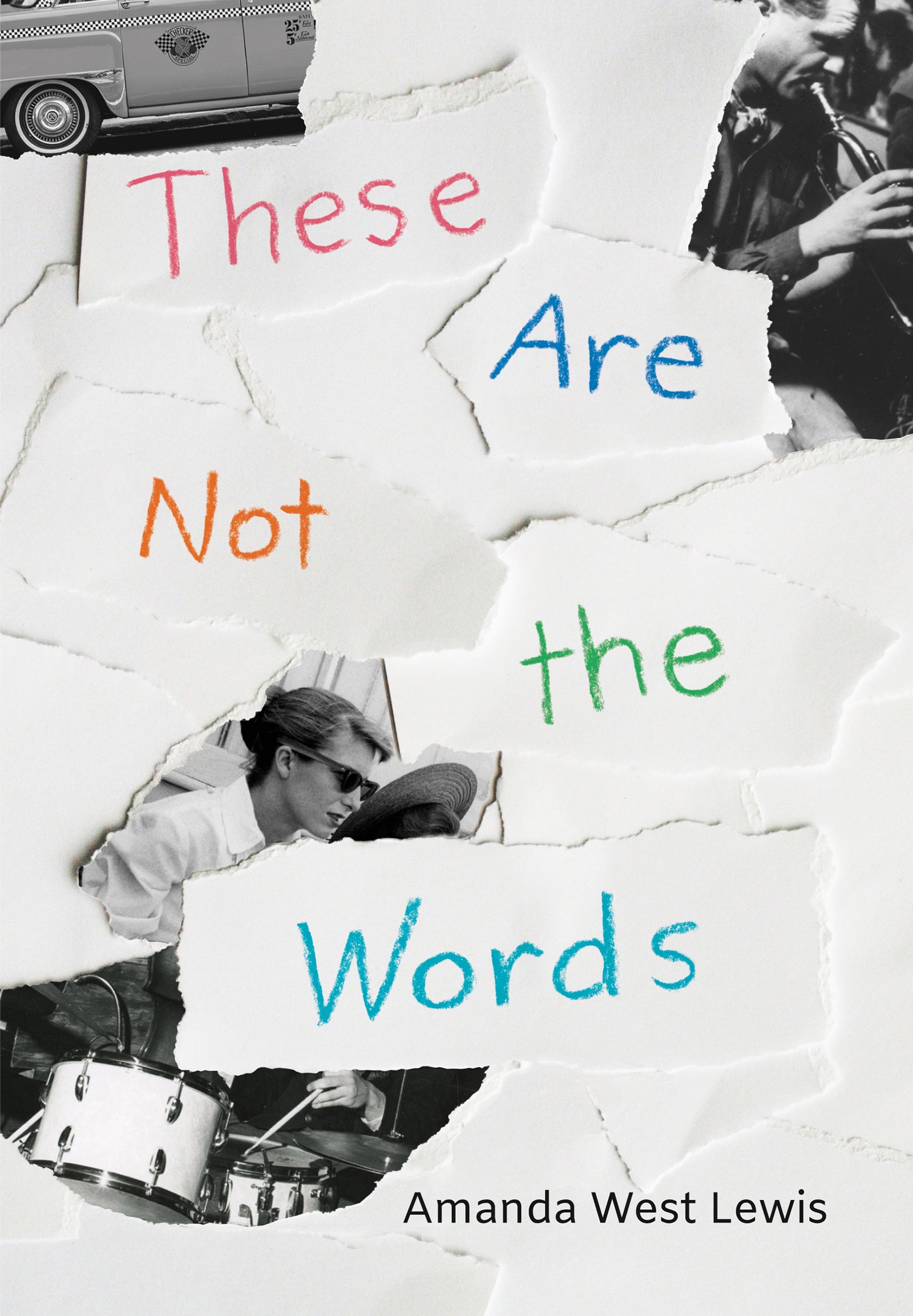 These Are Not the Words Cover Image