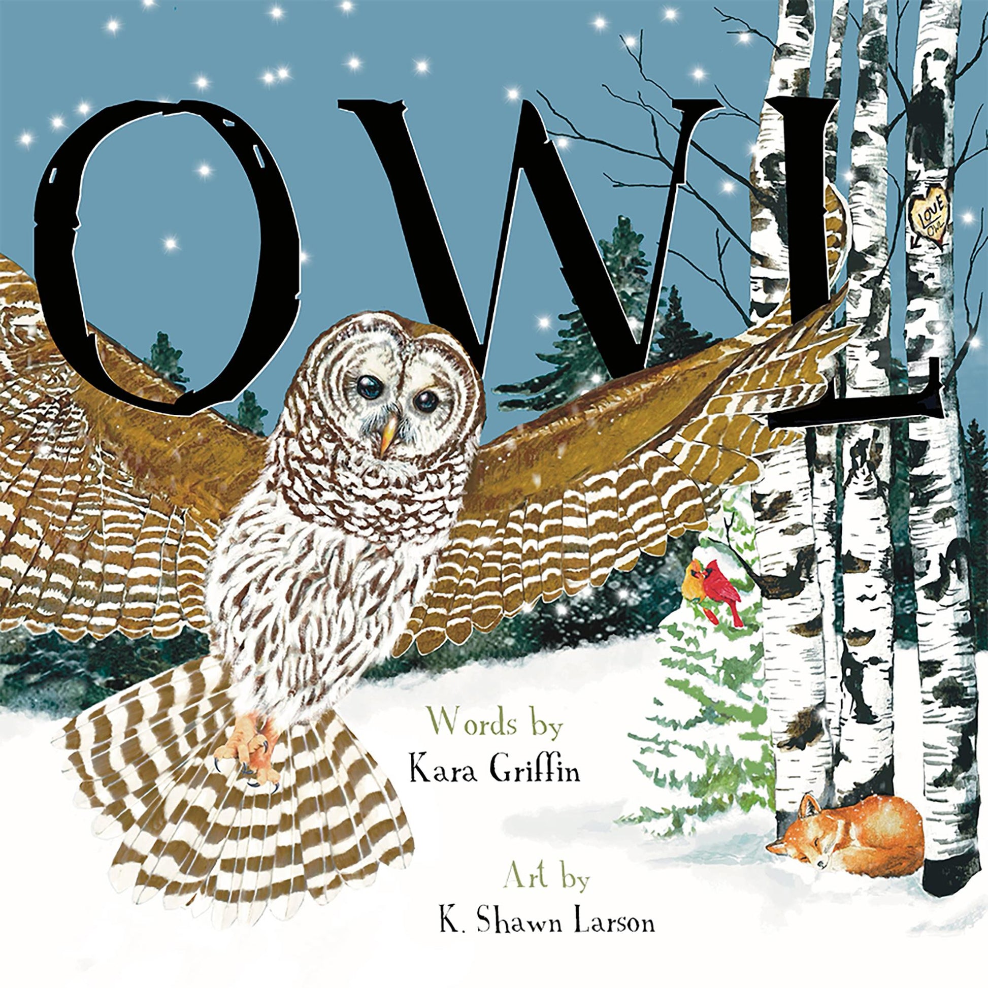 Owl Cover Image