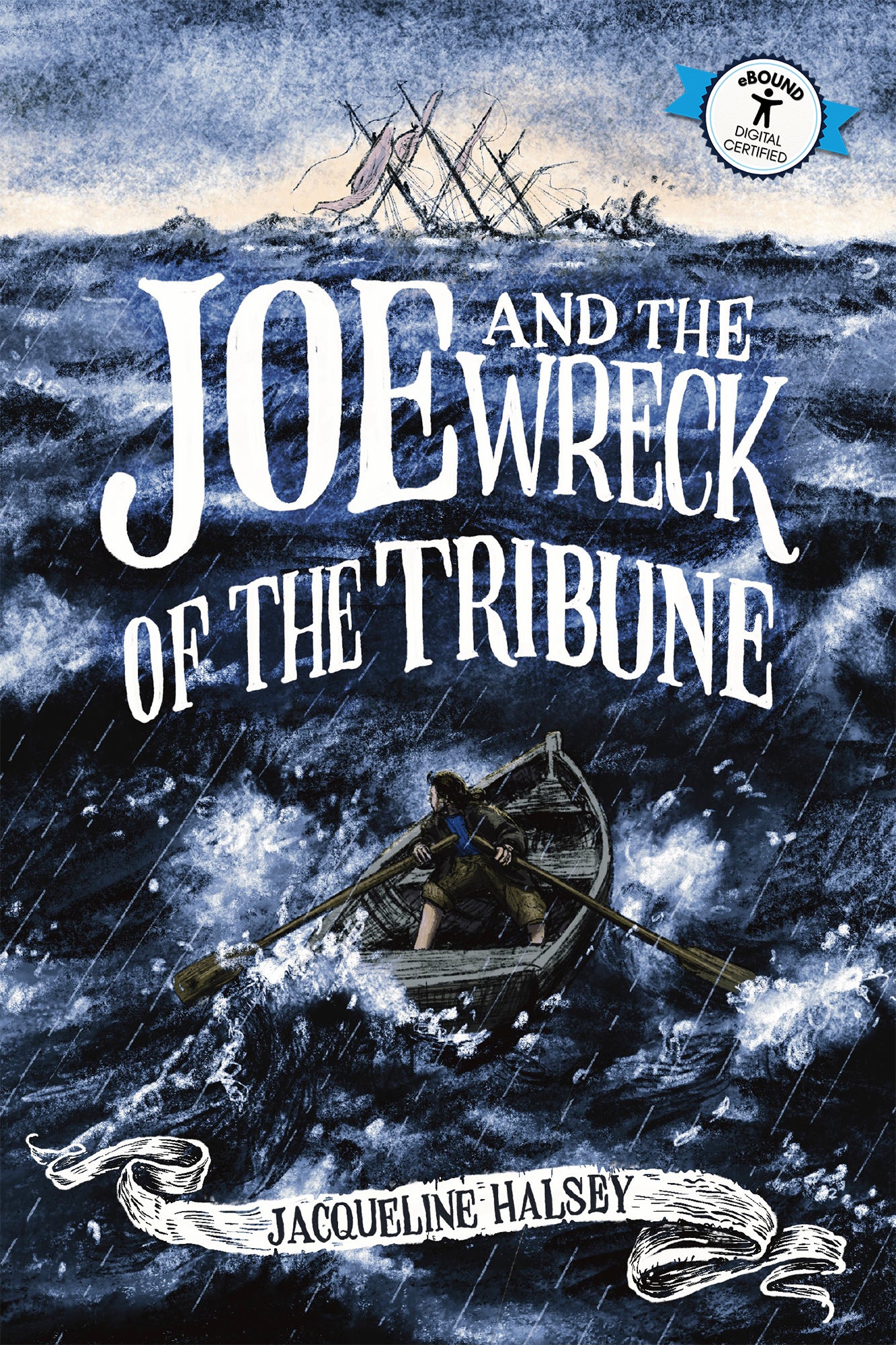 Joe & the Wreck of the Tribune Cover Image