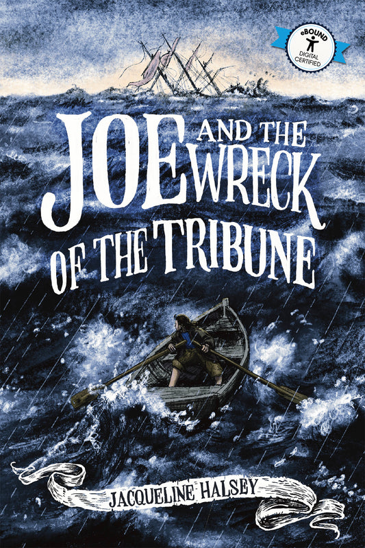 Joe & the Wreck of the Tribune Cover Image