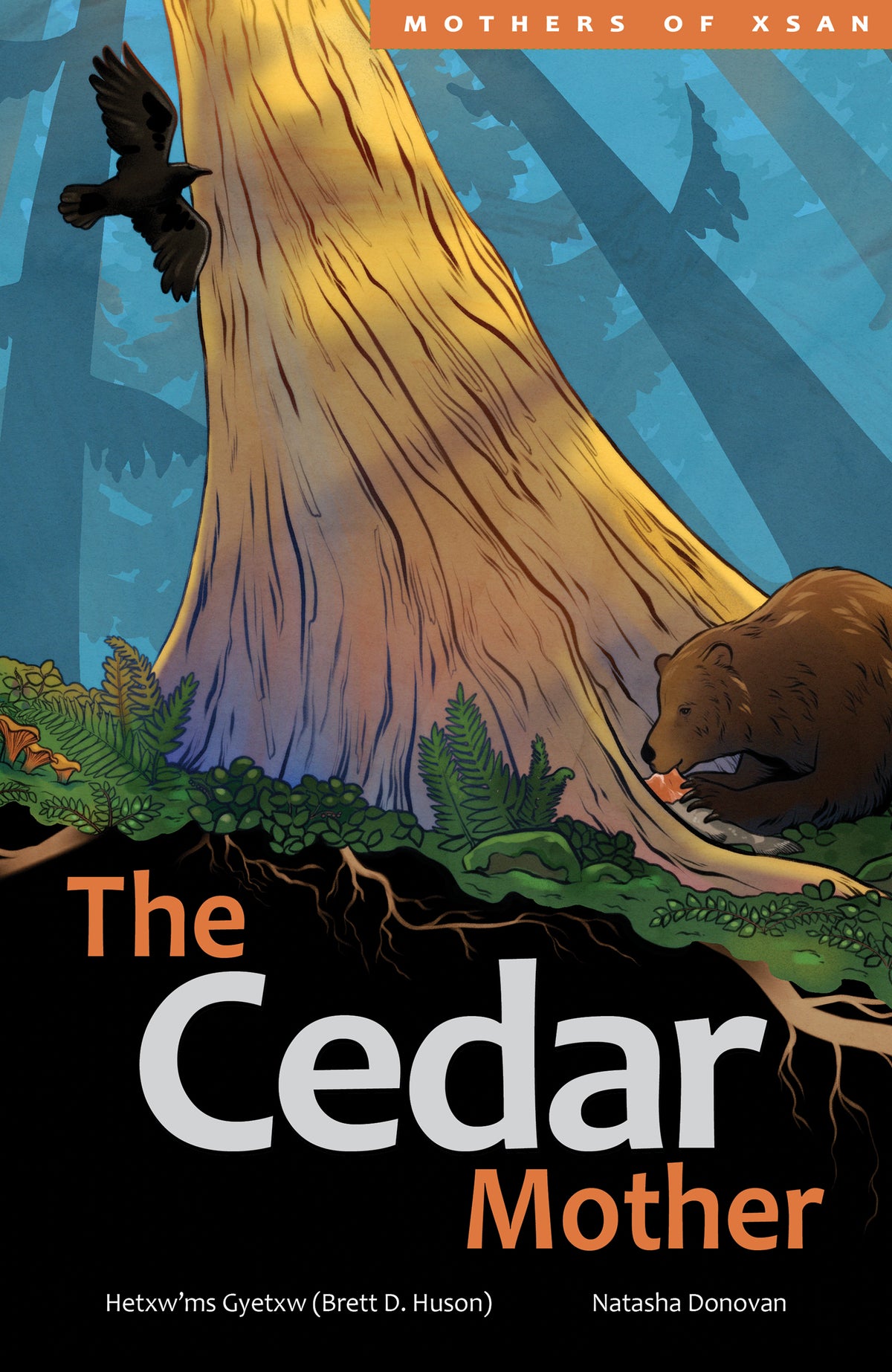 Cover Image