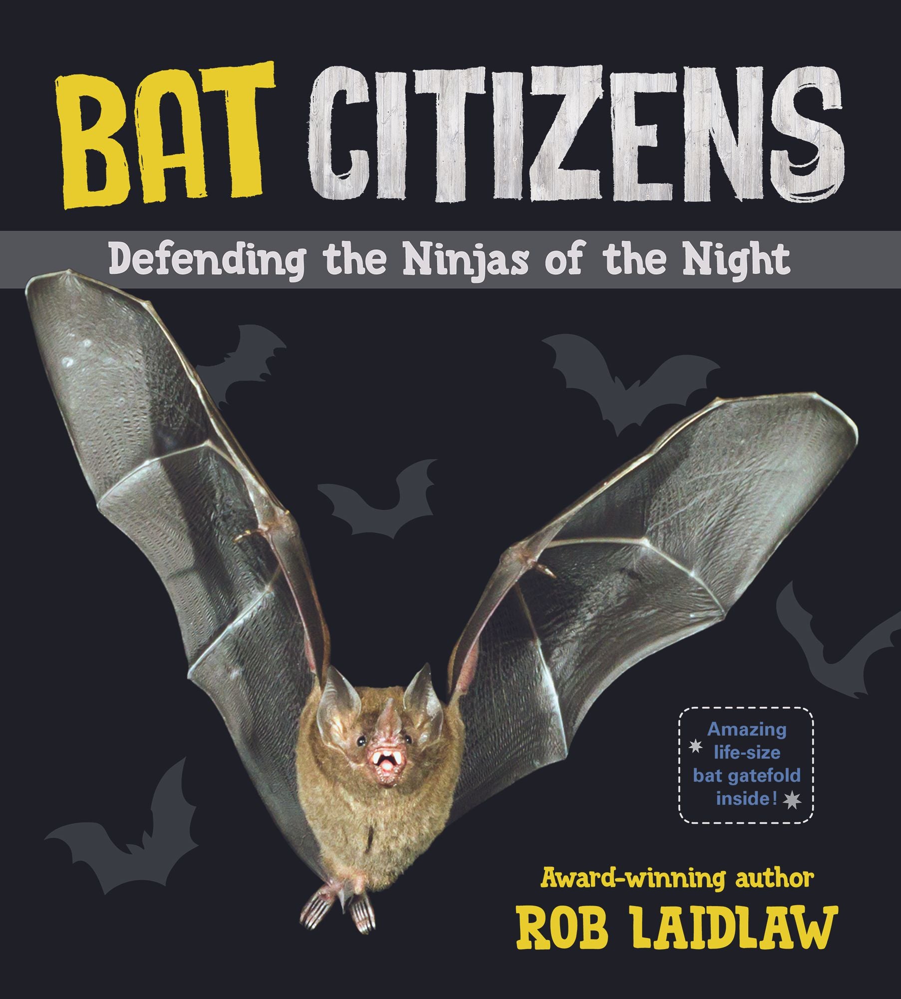 Bat Citizen: Defending the Ninjas of the Night