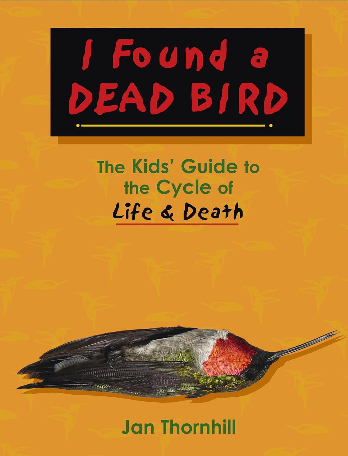 I Found a Dead Bird: The Kids' Guide to the Cycle of Life & Death 