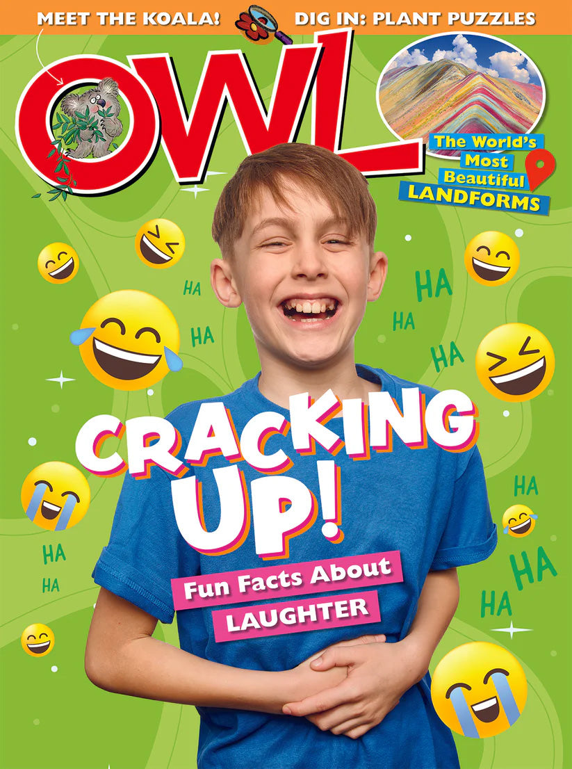 OWL Cover Image