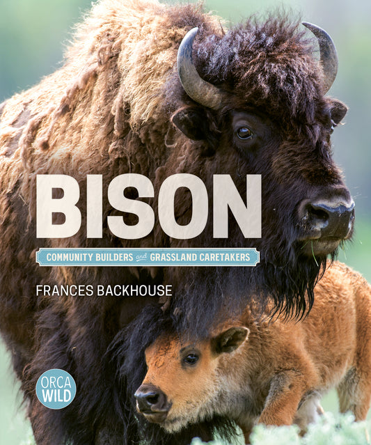 Bison Cover Image