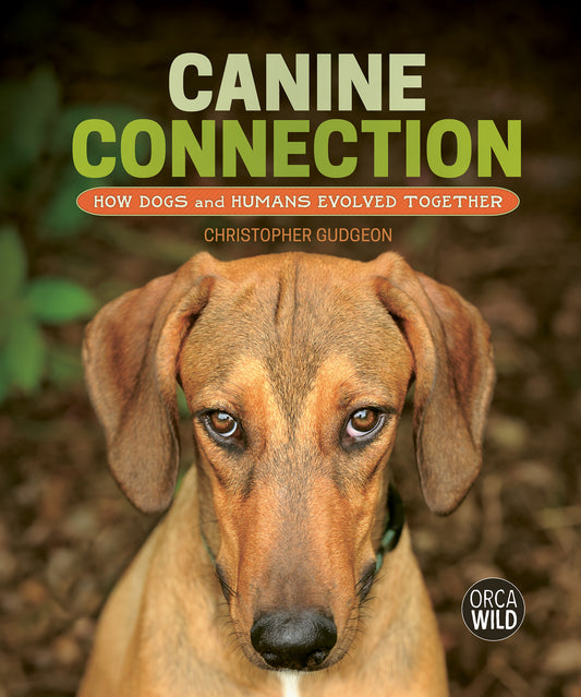 Canine Connection Cover Image