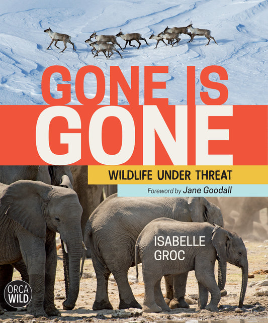 Gone is Gone Cover Image