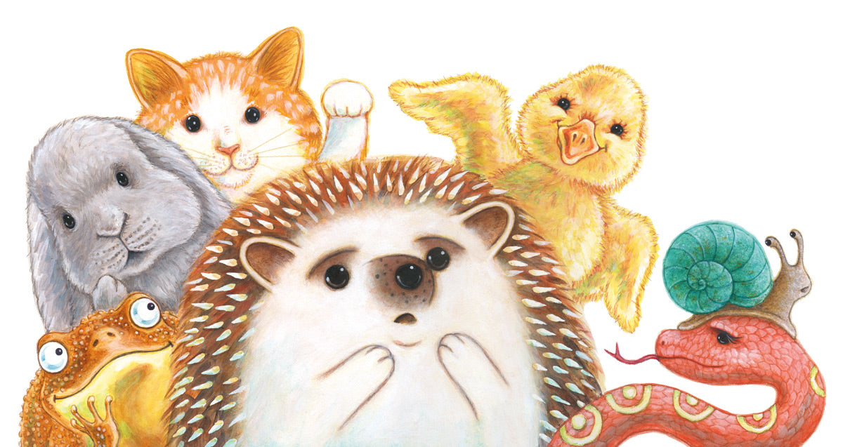 Rebecca Bender - Hedgehog—How Do You Feel? Cover Image