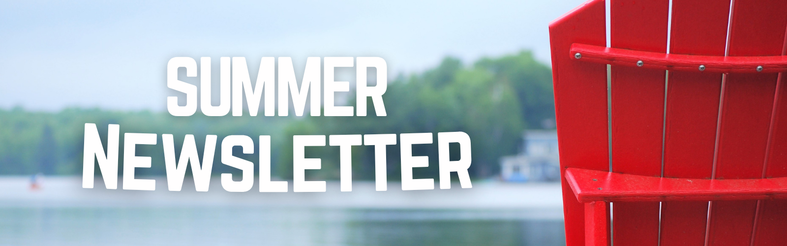 A digital graphic with the words 'SUMMER NEWSLETTER' in large white text over a blurred outdoor background with water, trees, and a bright red chair on the right.
