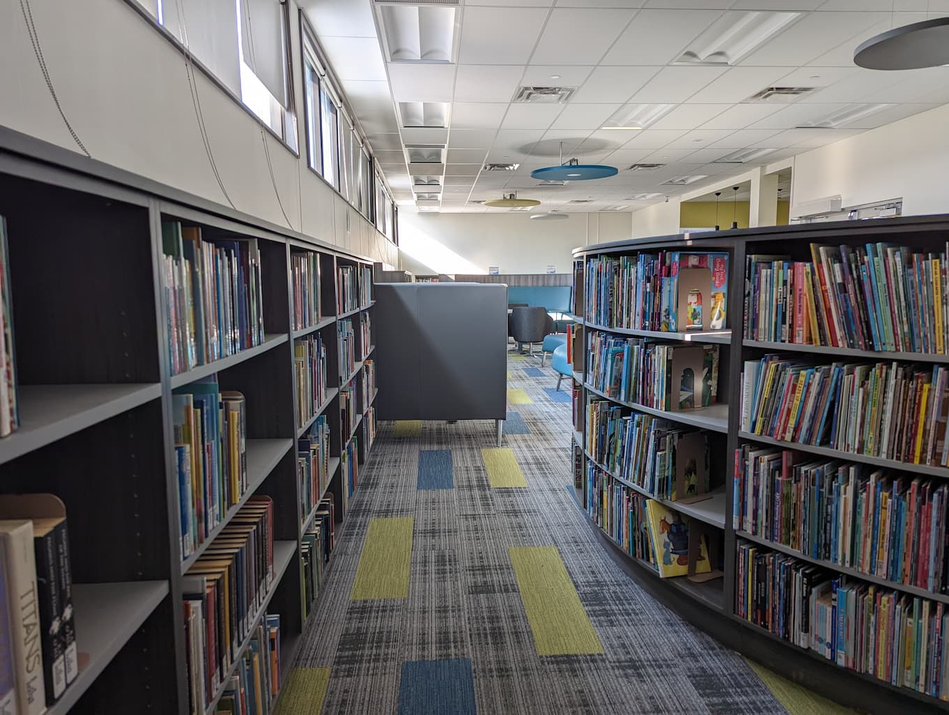 Library book shelves