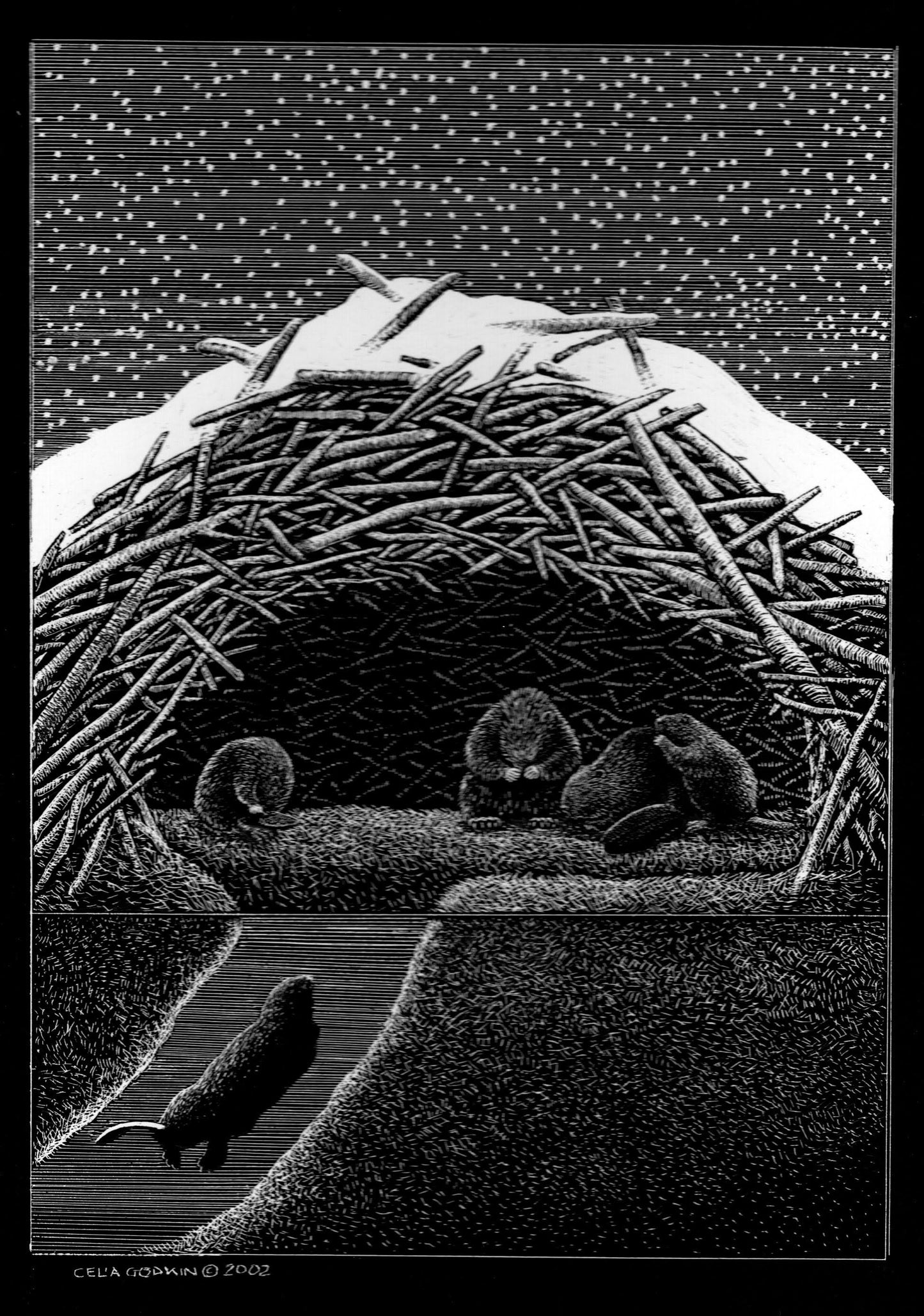 Celia Godkin - A Cosy Winter Home