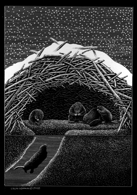 Celia Godkin - A Cosy Winter Home